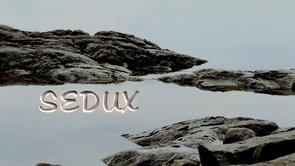 SEDUX by David Wilde